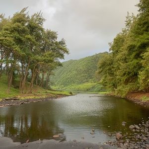 Meet your Posher, Noah